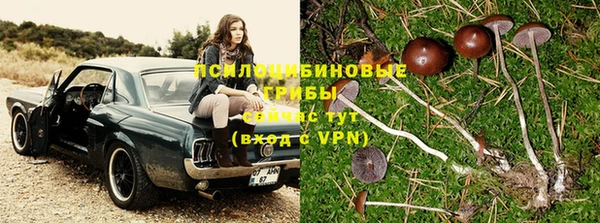 метадон Медвежьегорск