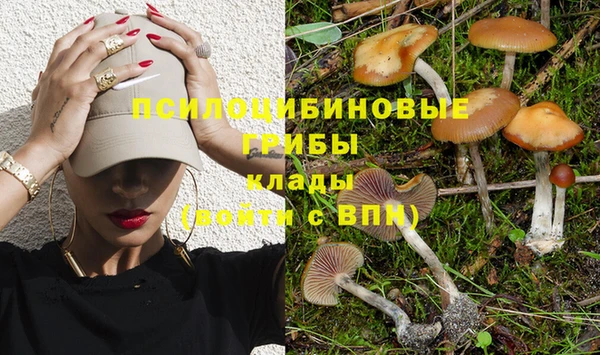 СК Магас