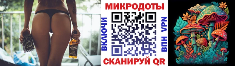 наркошоп  Нижнеудинск  Псилоцибиновые грибы Psilocybine cubensis 