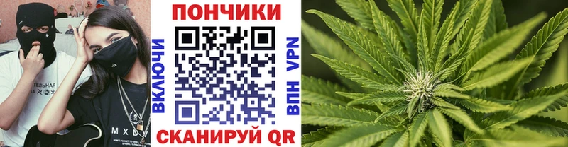 Конопля Amnesia  Нижнеудинск 